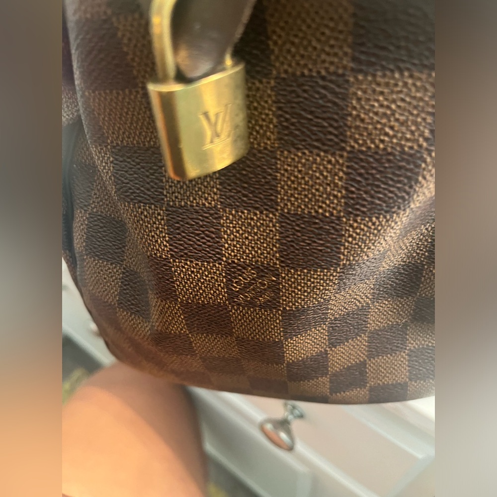 LV Speedy 30 Damier Ebene
